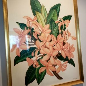 Framed signed L.Sexton hawian print